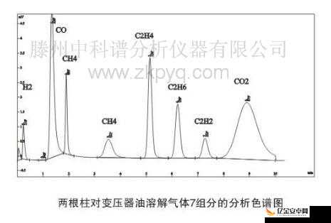 水果派哺乳汁理轮片：关于其独特性与作用的深入探讨分析